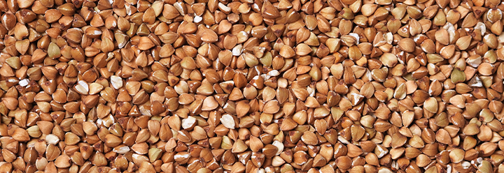 Xposome actif Sarrazin